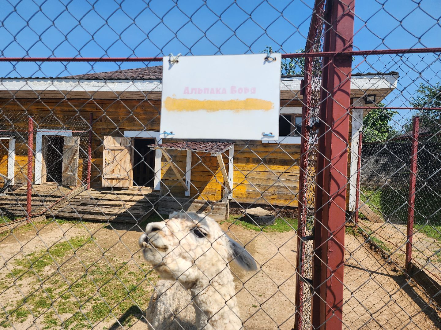 Истра, Кенгуру, Зоопарк,