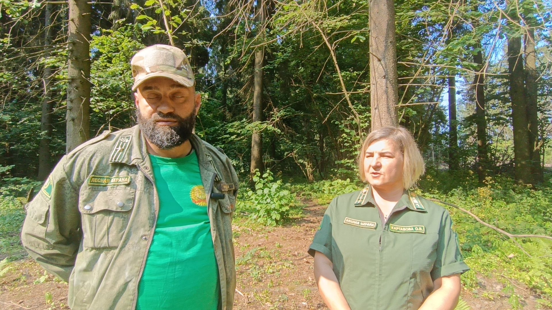 лес, экология, лобня,