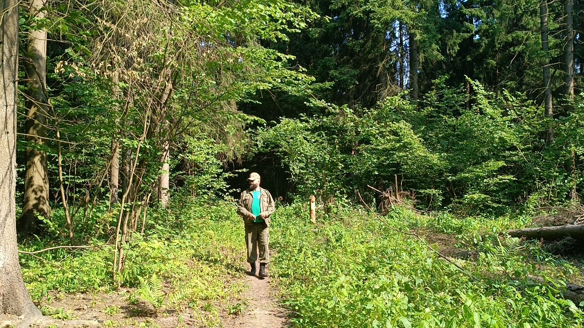 лес, экология, лобня,