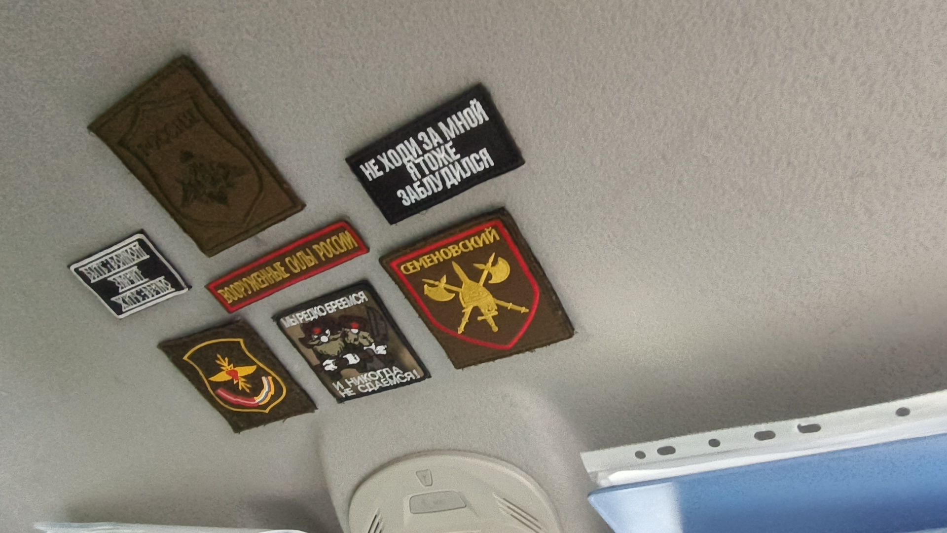 лес, экология, лобня,