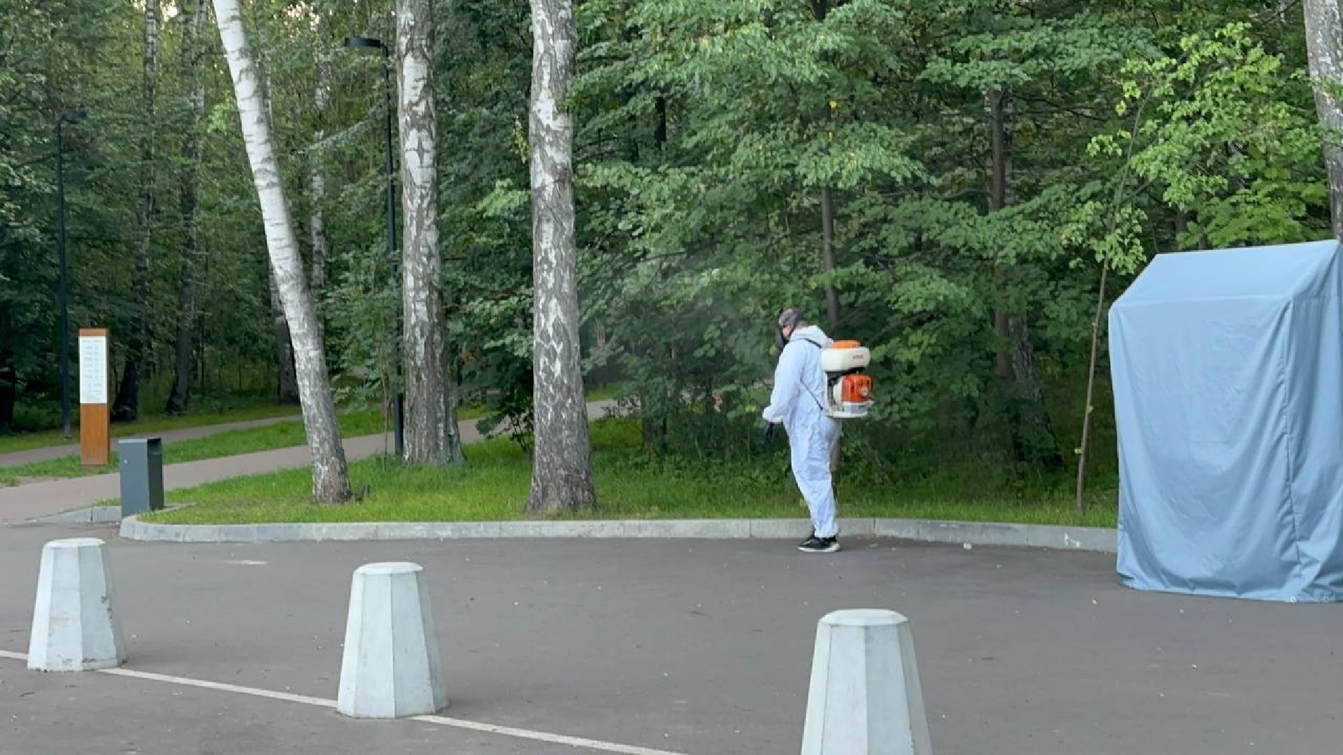 обработка от клещей, парки, домодедово,