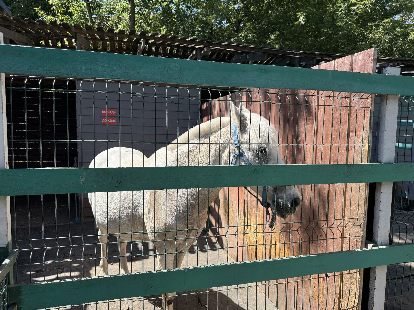 люберцы, Парк, досуг для детей, животные, Зоопарк,