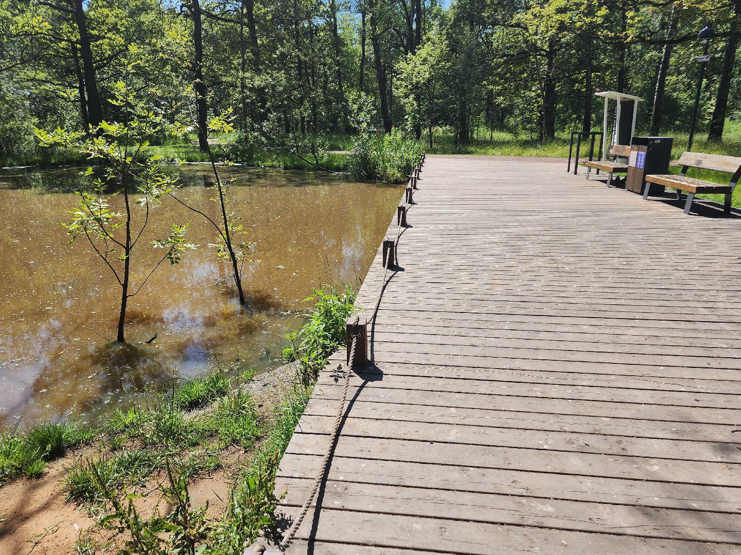 фрязино, лесопарк, благоустройство, очистка пруда,