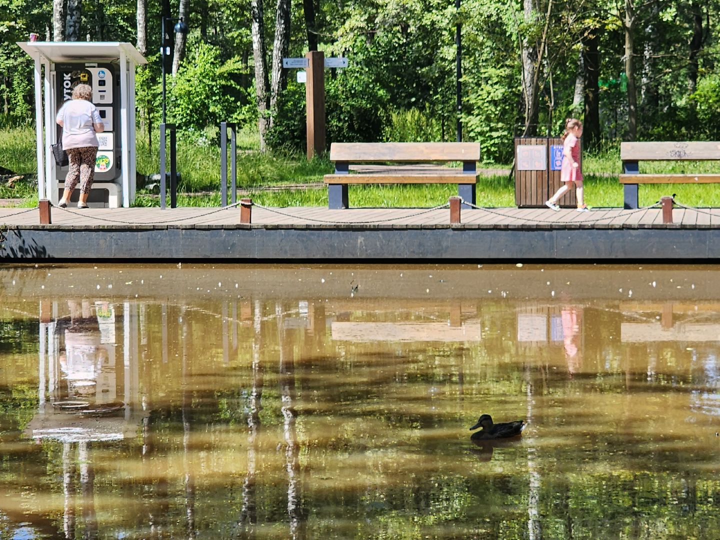 фрязино, лесопарк, благоустройство, очистка пруда,