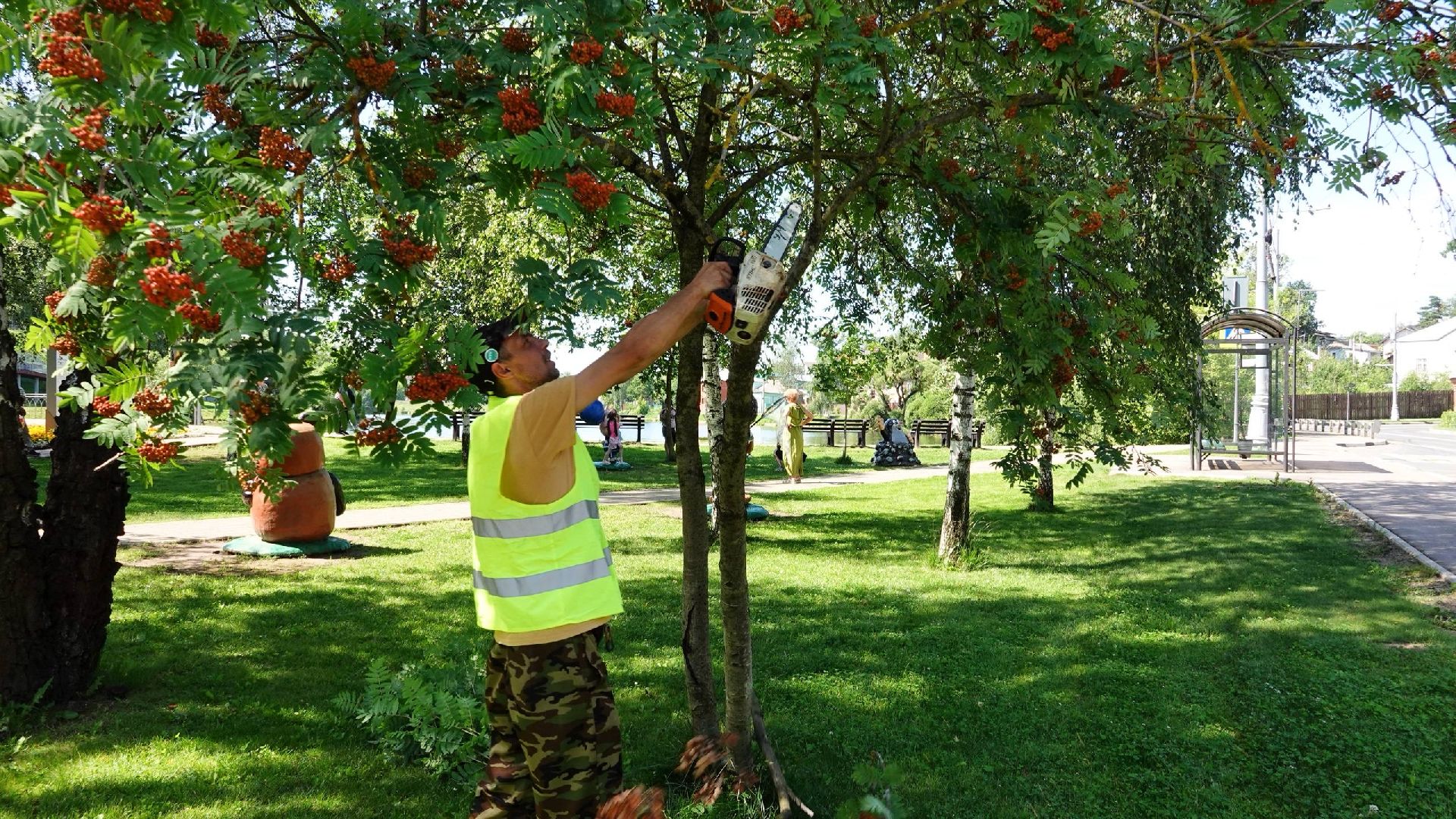 благоустройство, сергиев посад, сергиево-посадский городской округ, природа,