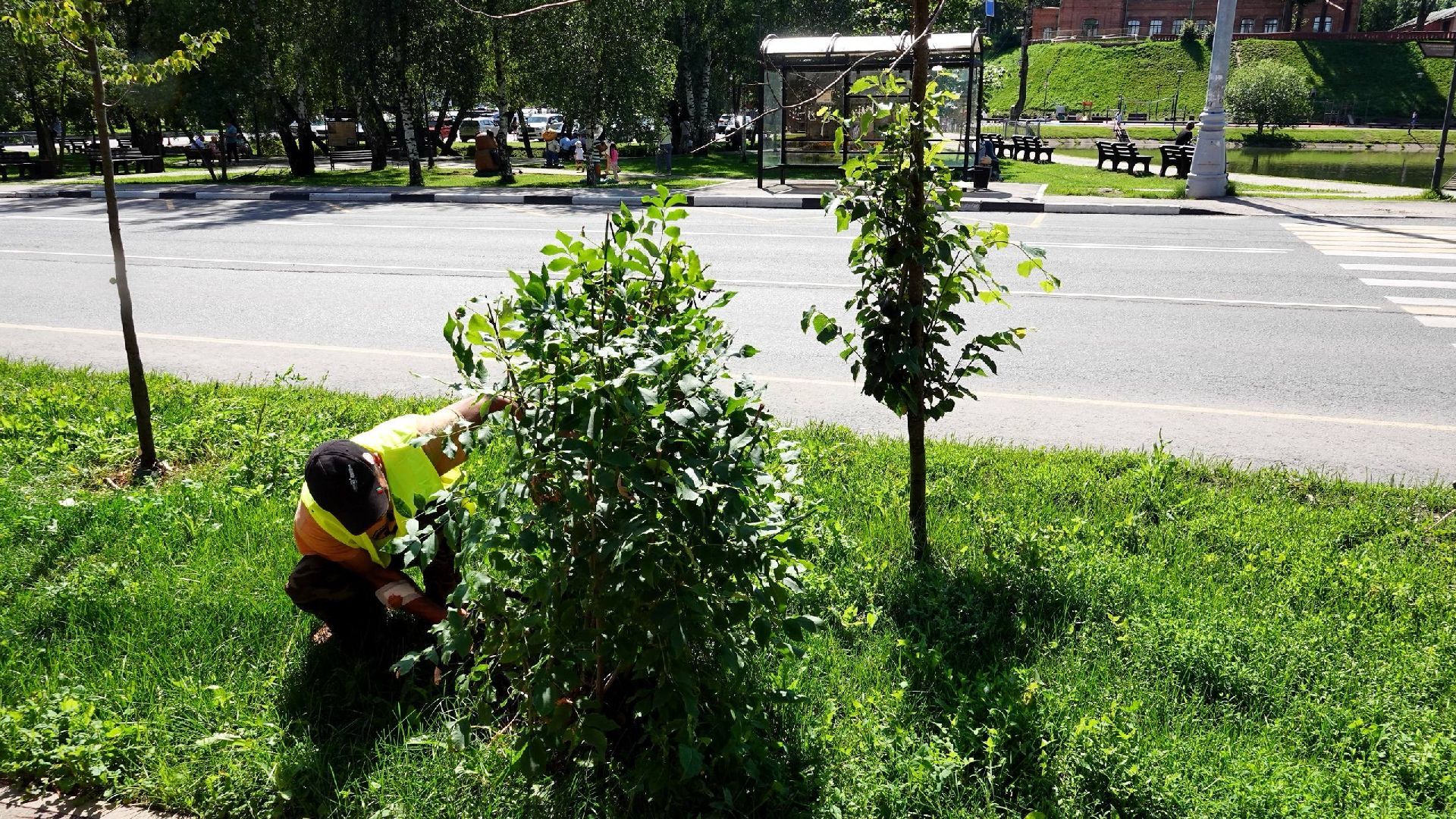 благоустройство, сергиев посад, сергиево-посадский городской округ, природа,