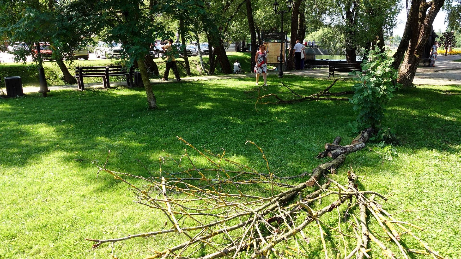 благоустройство, сергиев посад, сергиево-посадский городской округ, природа,
