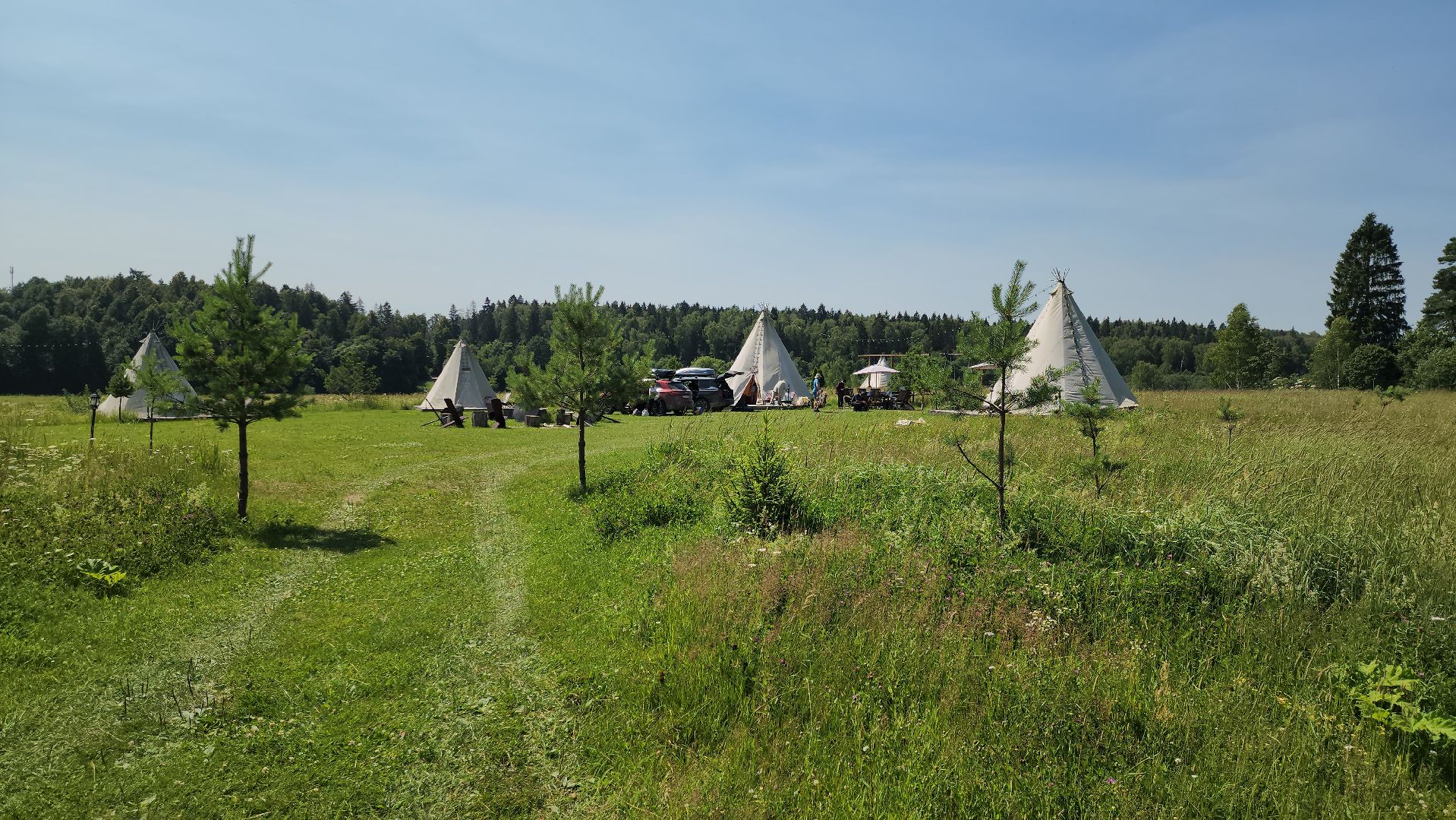 руза, хаски-деревня, рузская аляска, глэмпинг, туризм,