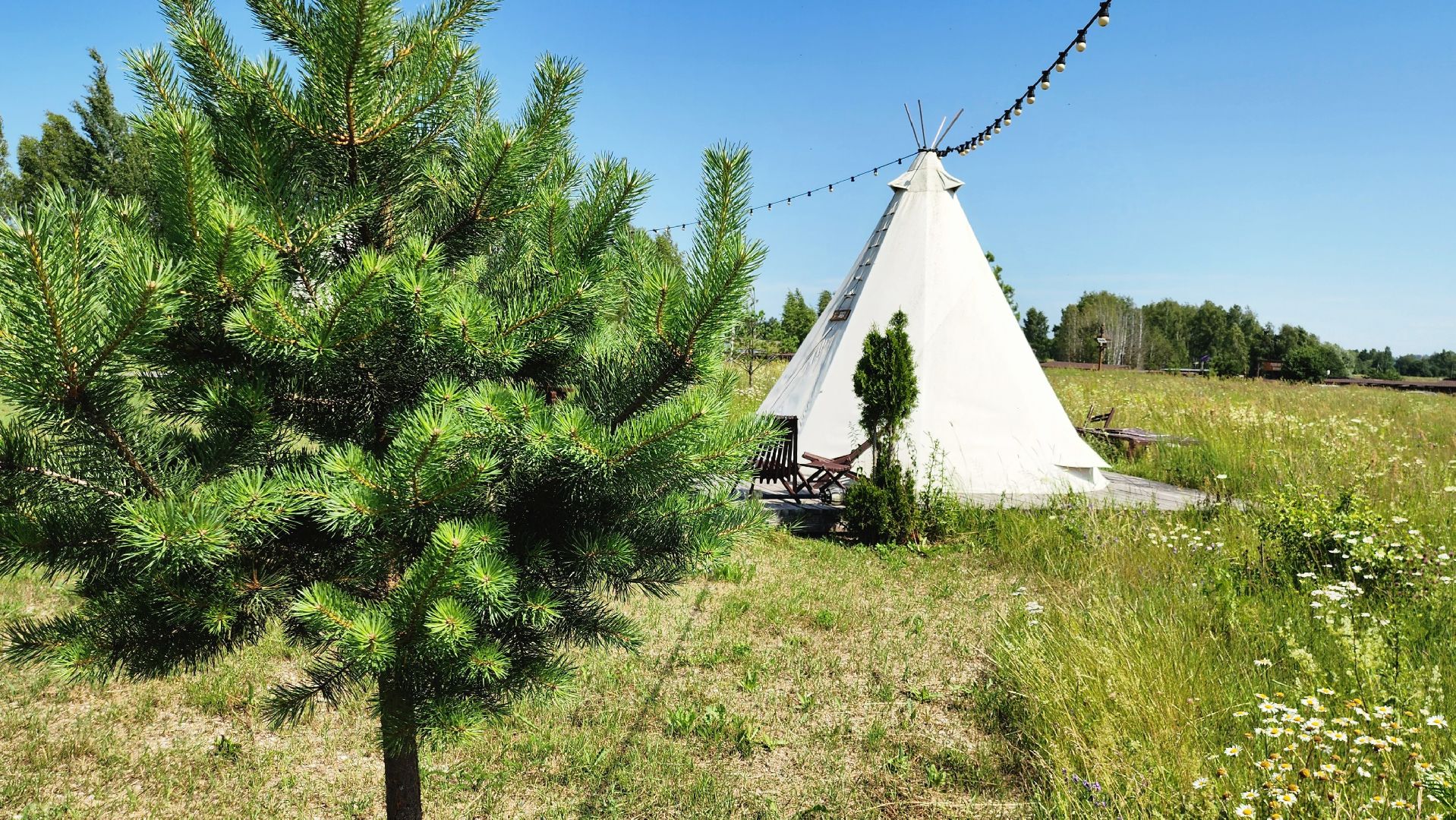 руза, хаски-деревня, рузская аляска, глэмпинг, туризм,