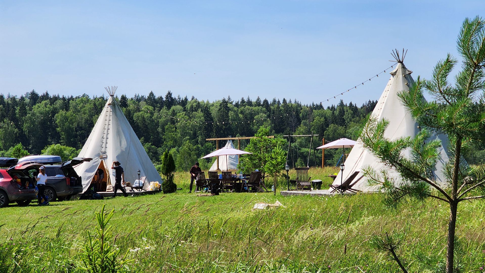 руза, хаски-деревня, рузская аляска, глэмпинг, туризм,