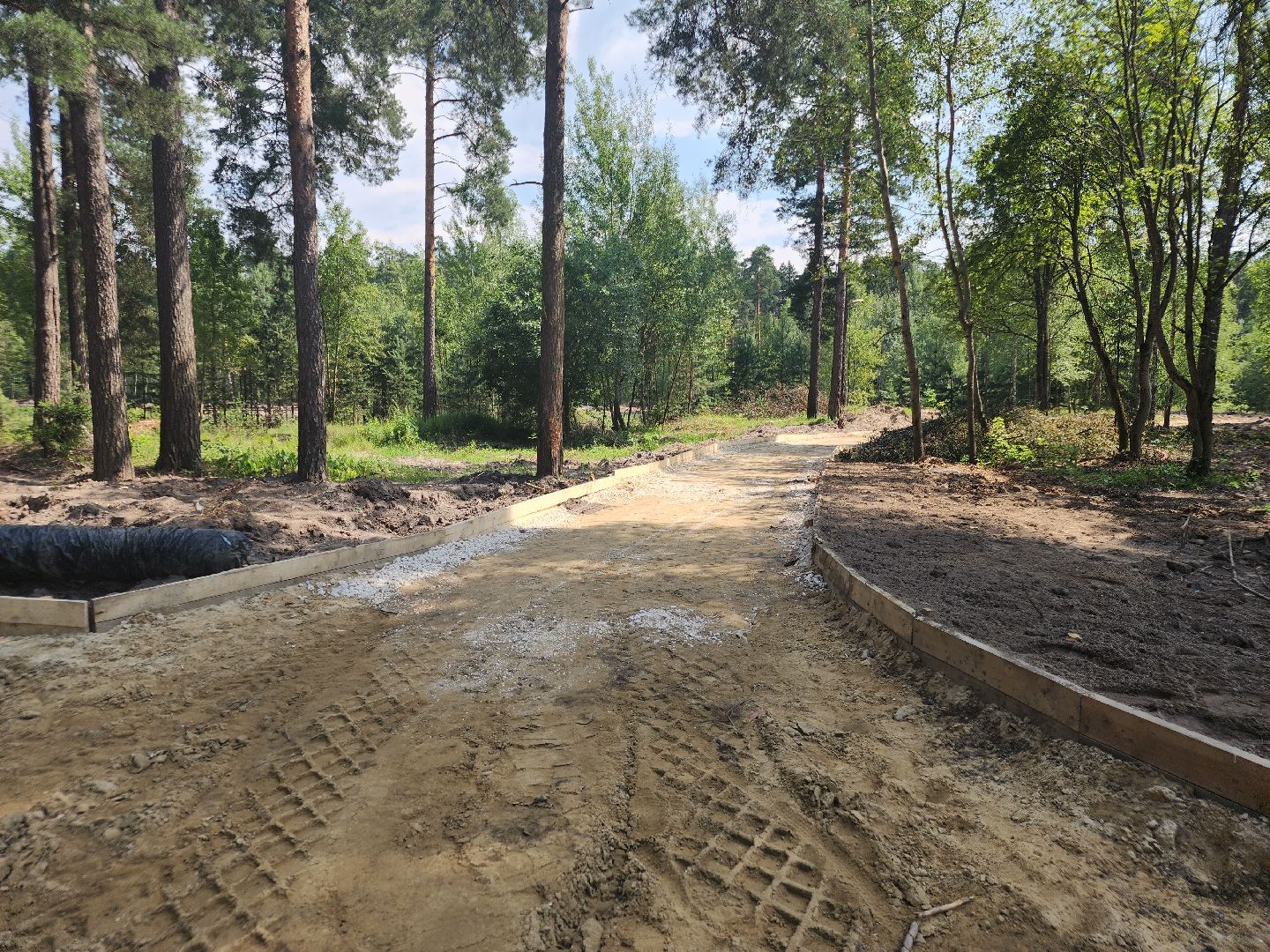 благоустройство 2025, парковский лес, орехово-зуево,