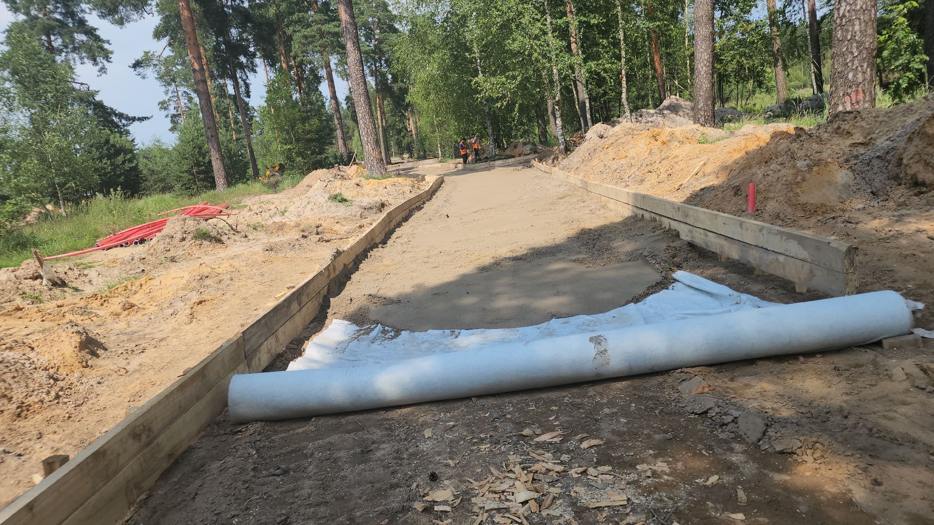 благоустройство 2025, парковский лес, орехово-зуево,