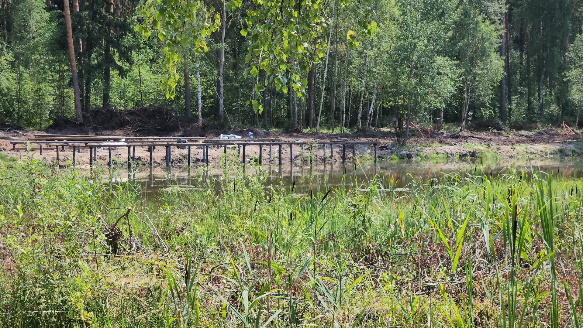 благоустройство 2025, парковский лес, орехово-зуево,