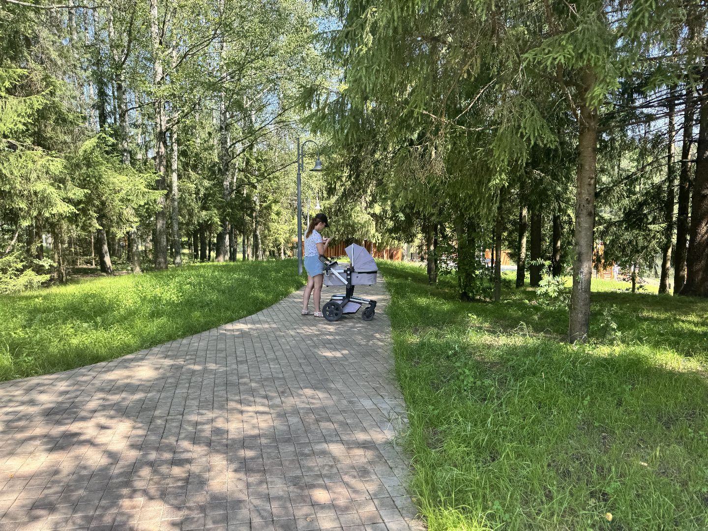 шаховская, плотина, пляж,