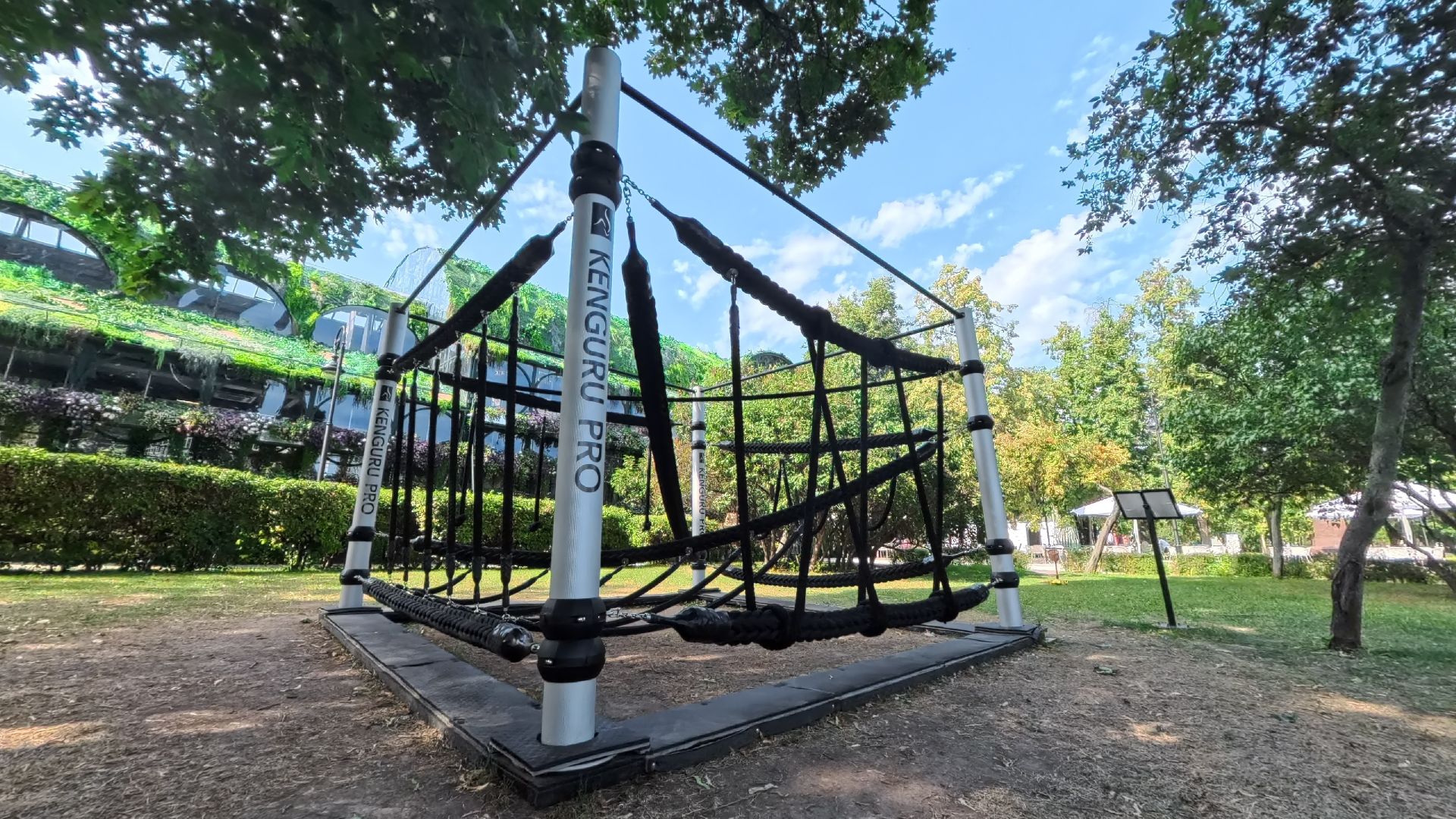 солнечногорск, кенгуро про, производство, спорт, бизнес, секрет успеха,