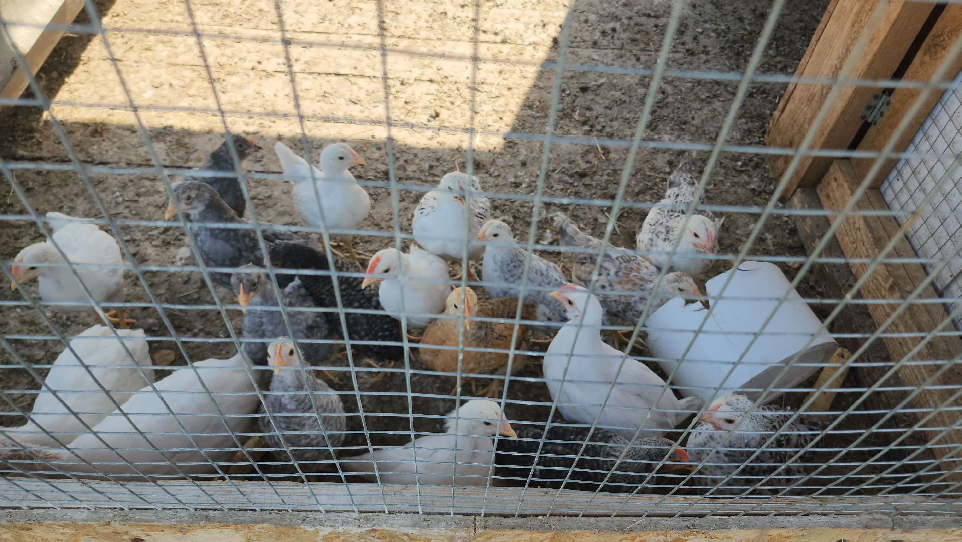 Егорьевск, Подмосковье, Московская область,