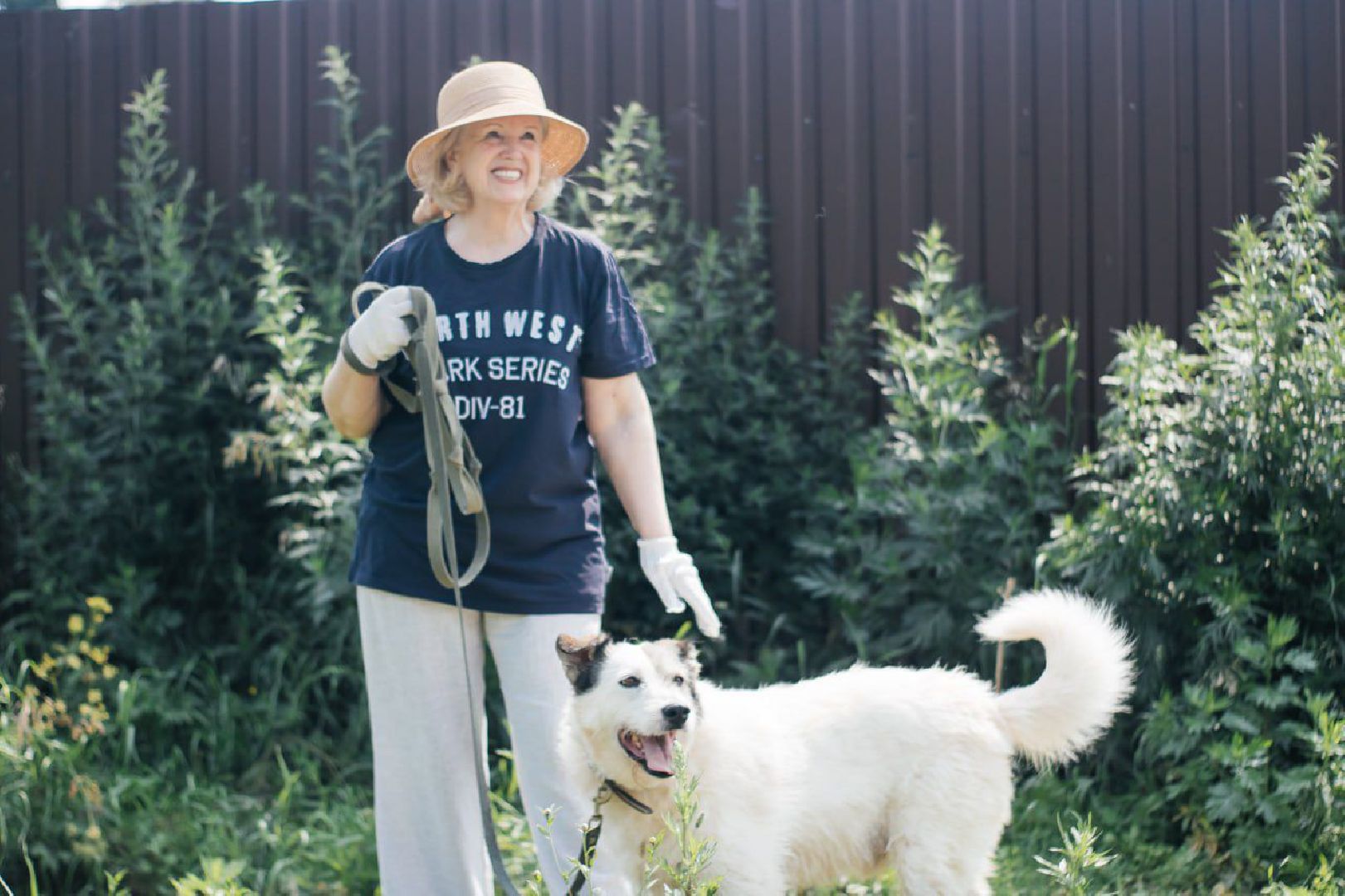 рахманово, пушкинский округ, приют для бездомных животных, активное долголетие, волонтеры, приют для собак,помощь жителям,вертикалки,