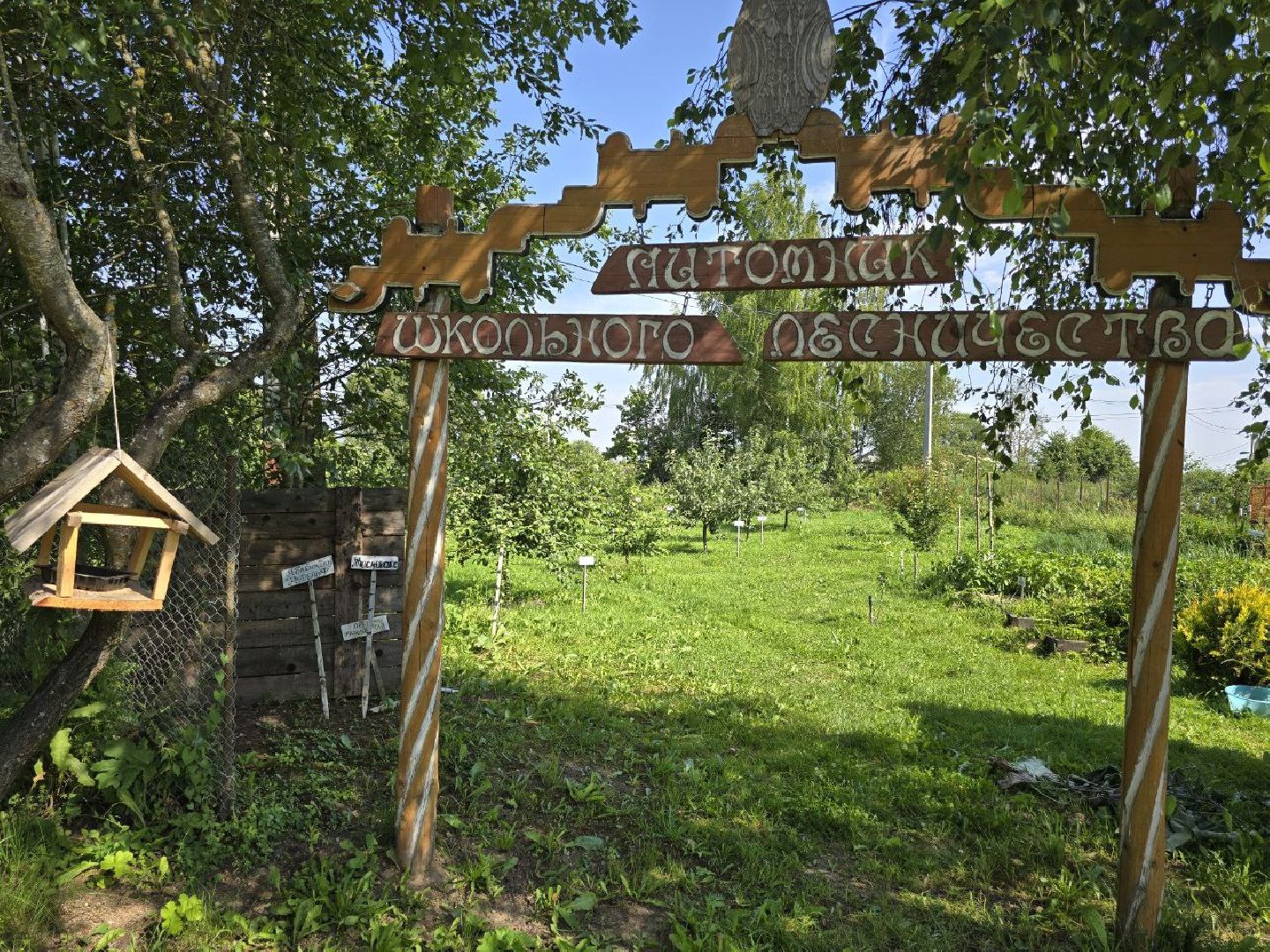 можайск, можайский муниципальный округ, подмосковье, аптекарский огород, дети, юные натуралисты, лесничие,