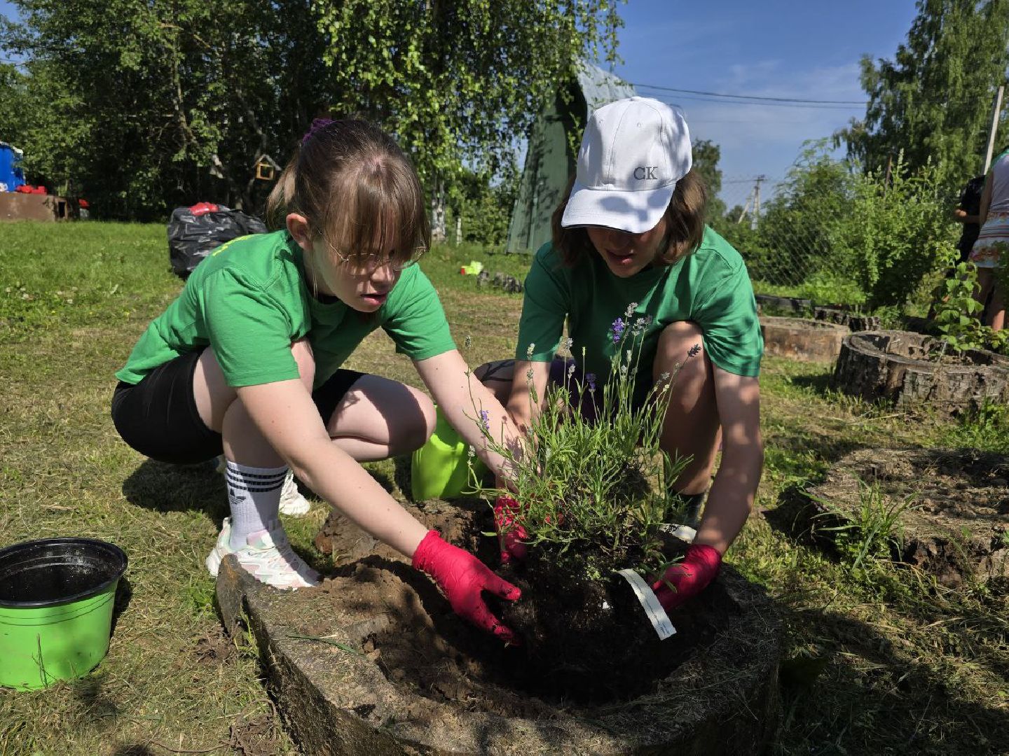 можайск, можайский муниципальный округ, подмосковье, аптекарский огород, дети, юные натуралисты, лесничие,