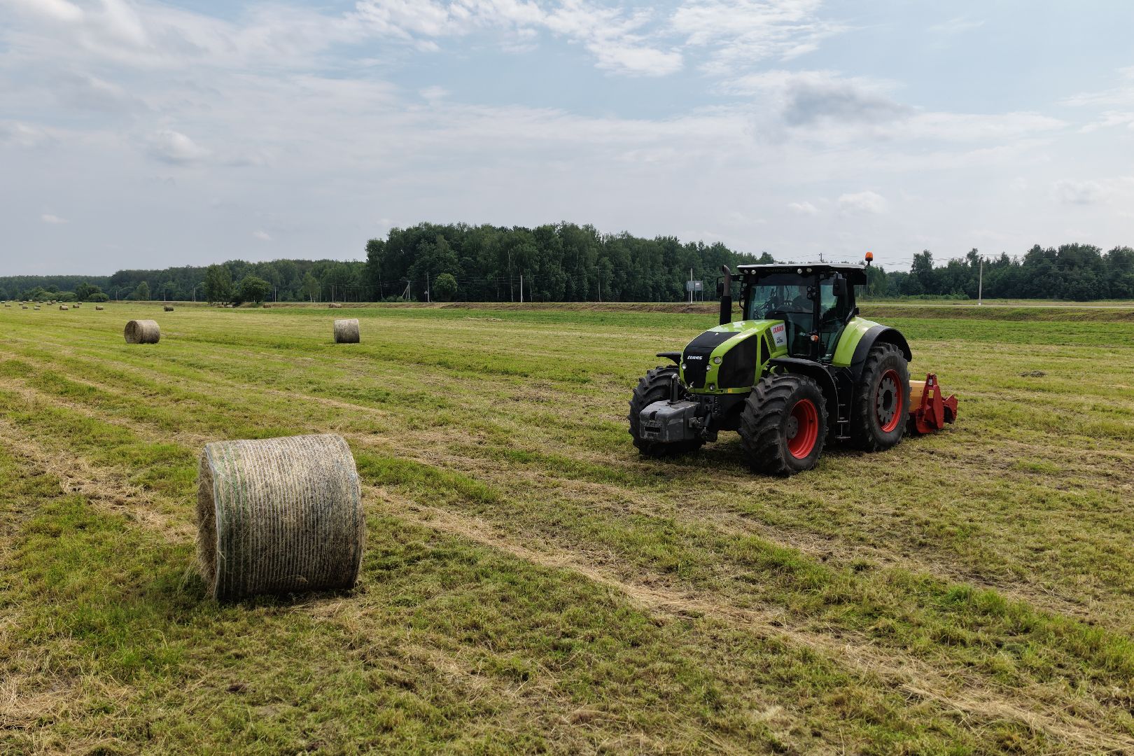 видео с коптера, животноводческое хозяйство, животноводство в подмосковье,