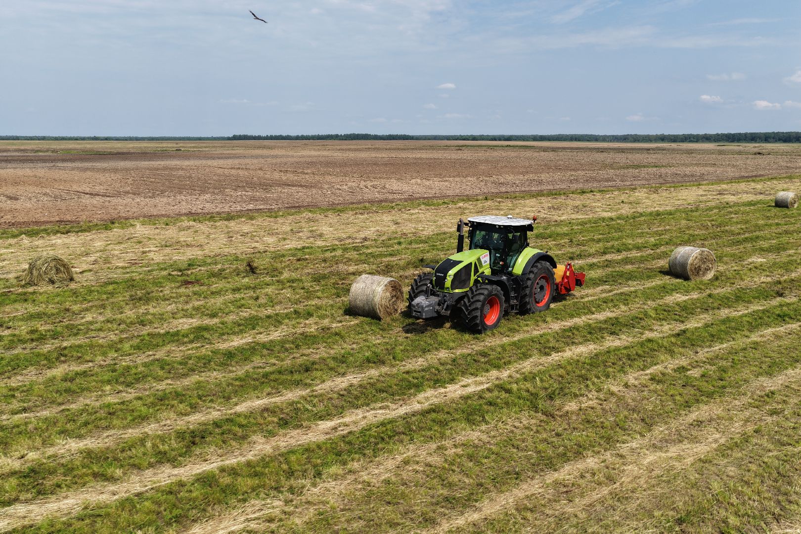 видео с коптера, животноводческое хозяйство, животноводство в подмосковье,