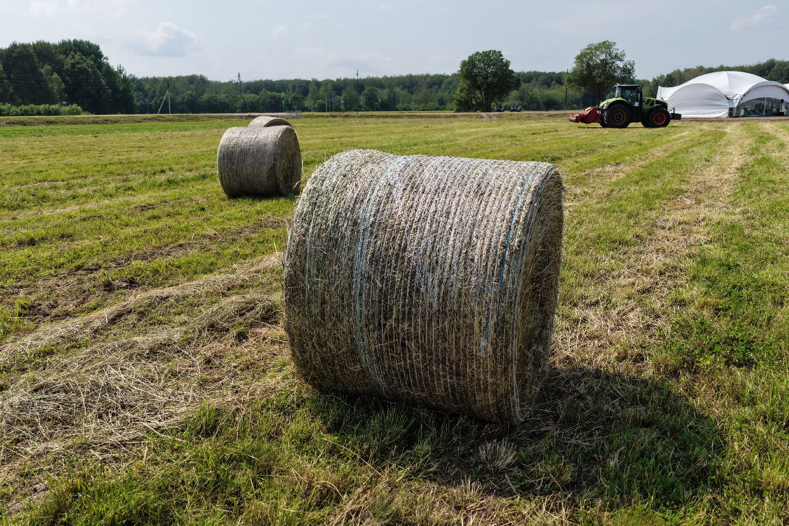 видео с коптера, животноводческое хозяйство, животноводство в подмосковье,