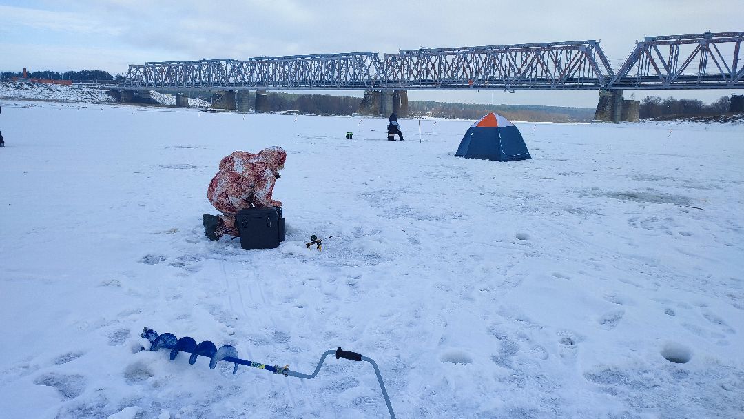 Кашира, общество