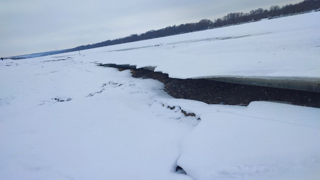 Кашира, общество