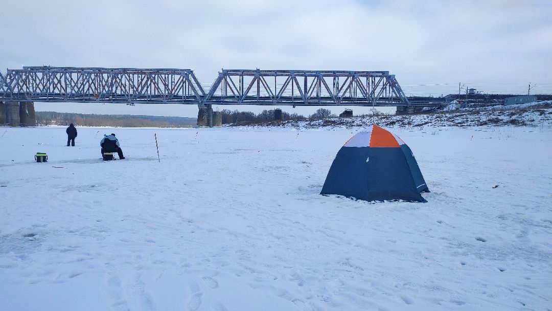 Кашира, общество