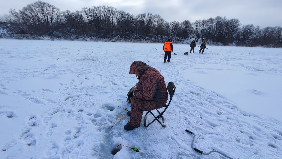 Кашира, общество