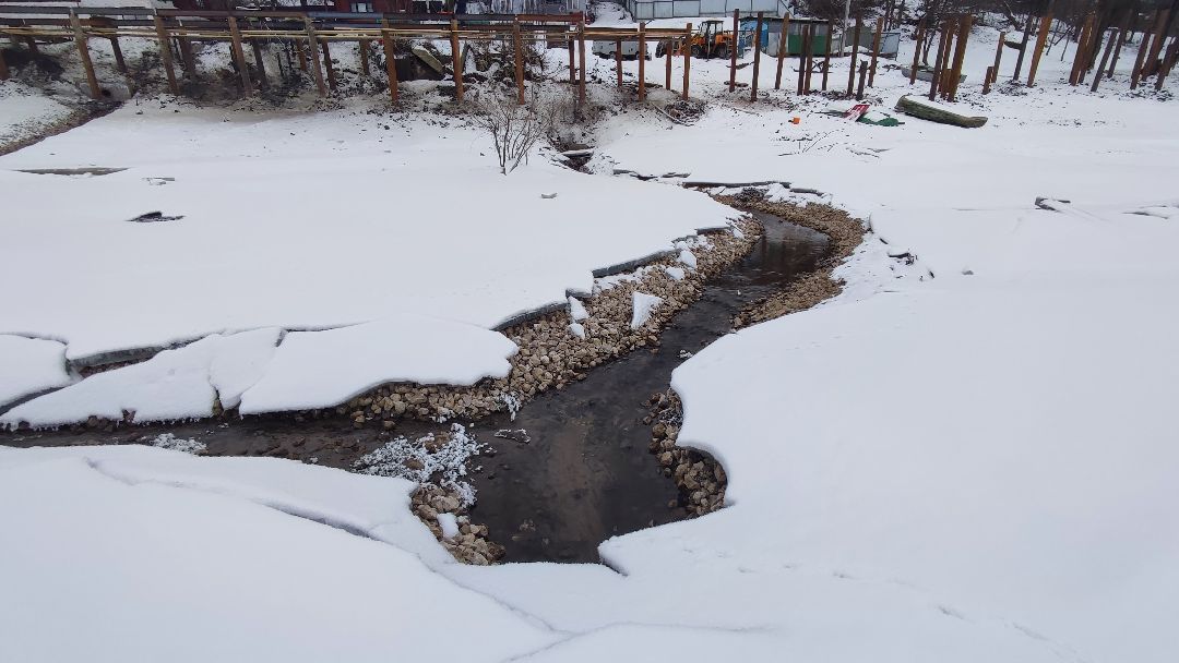 Кашира, общество