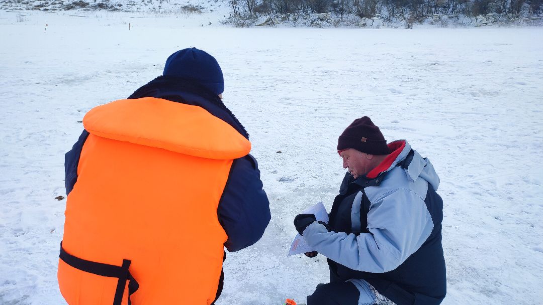 Кашира, общество