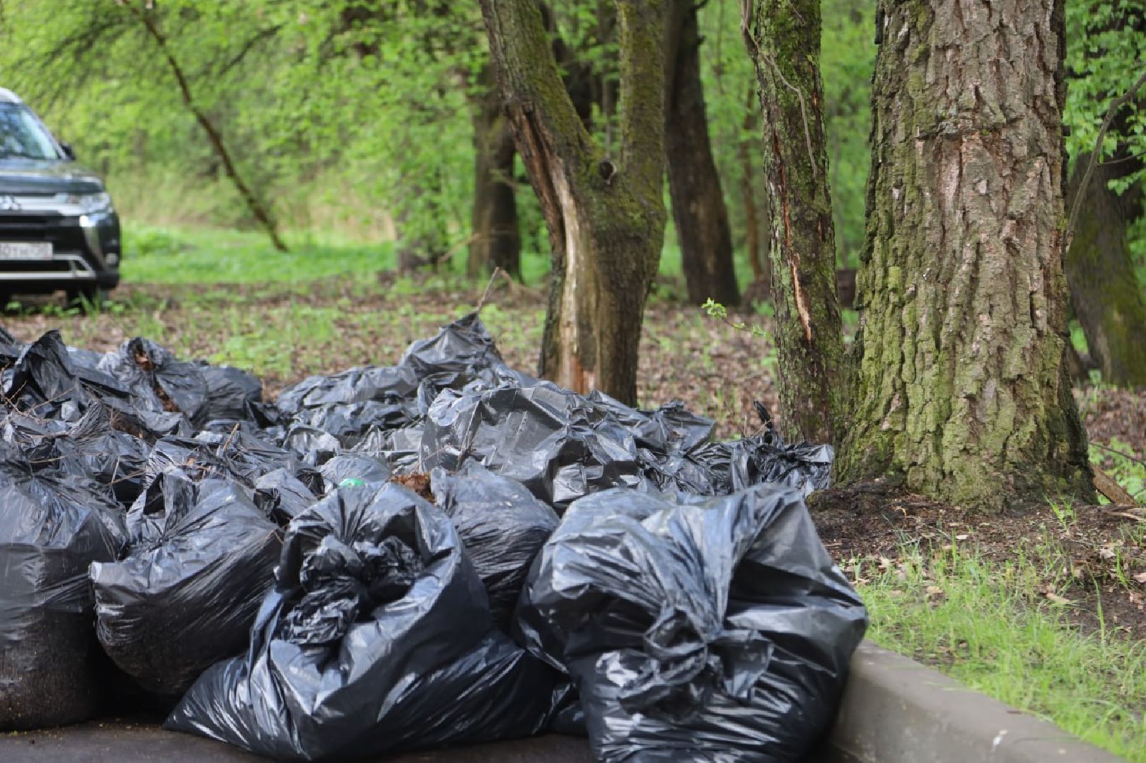 Серпухов, Подмосковье, благоустройство, родник, РодникиПодмосковья
