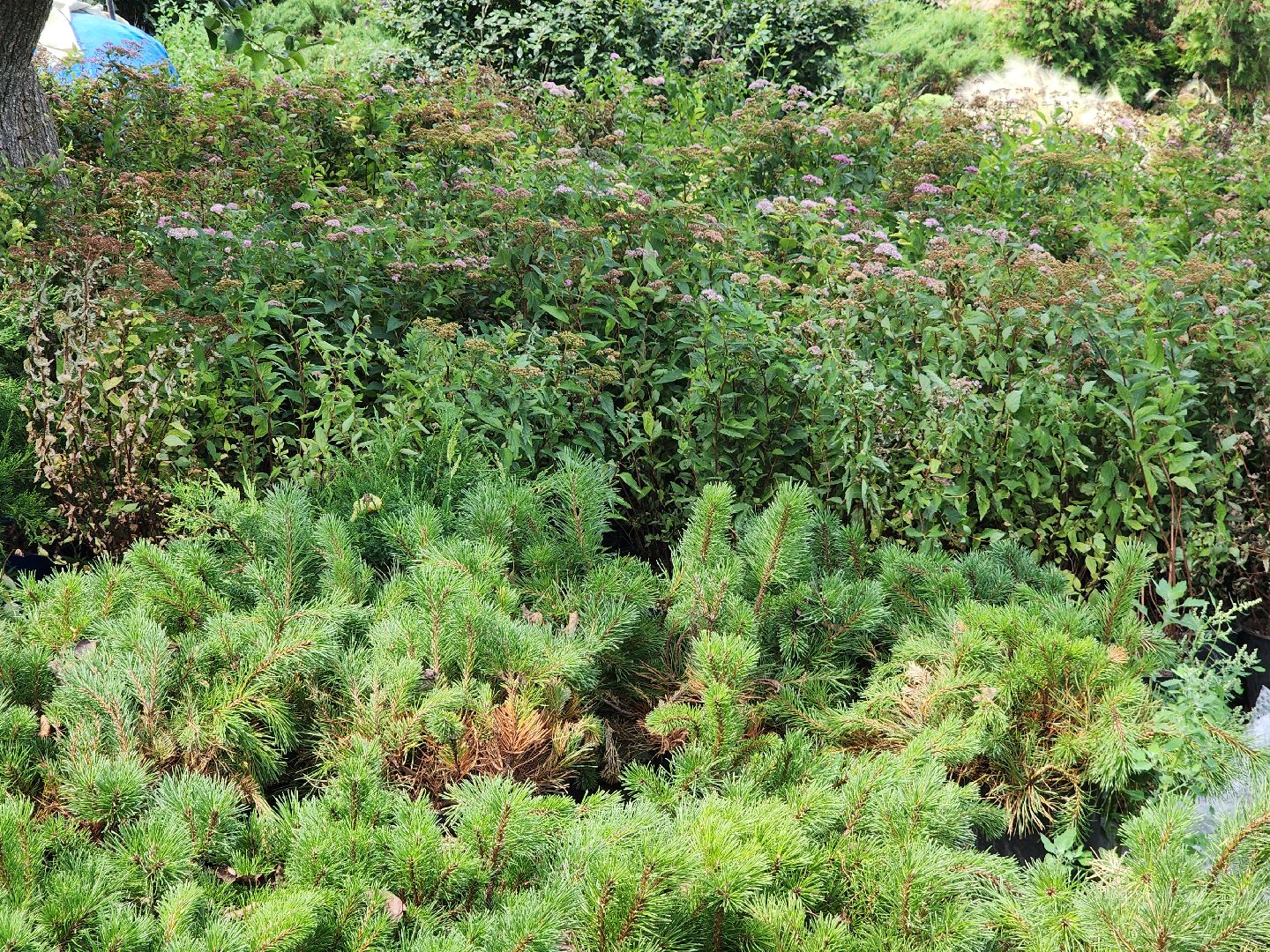 Егорьевск , Подмосковье , Московская область ,