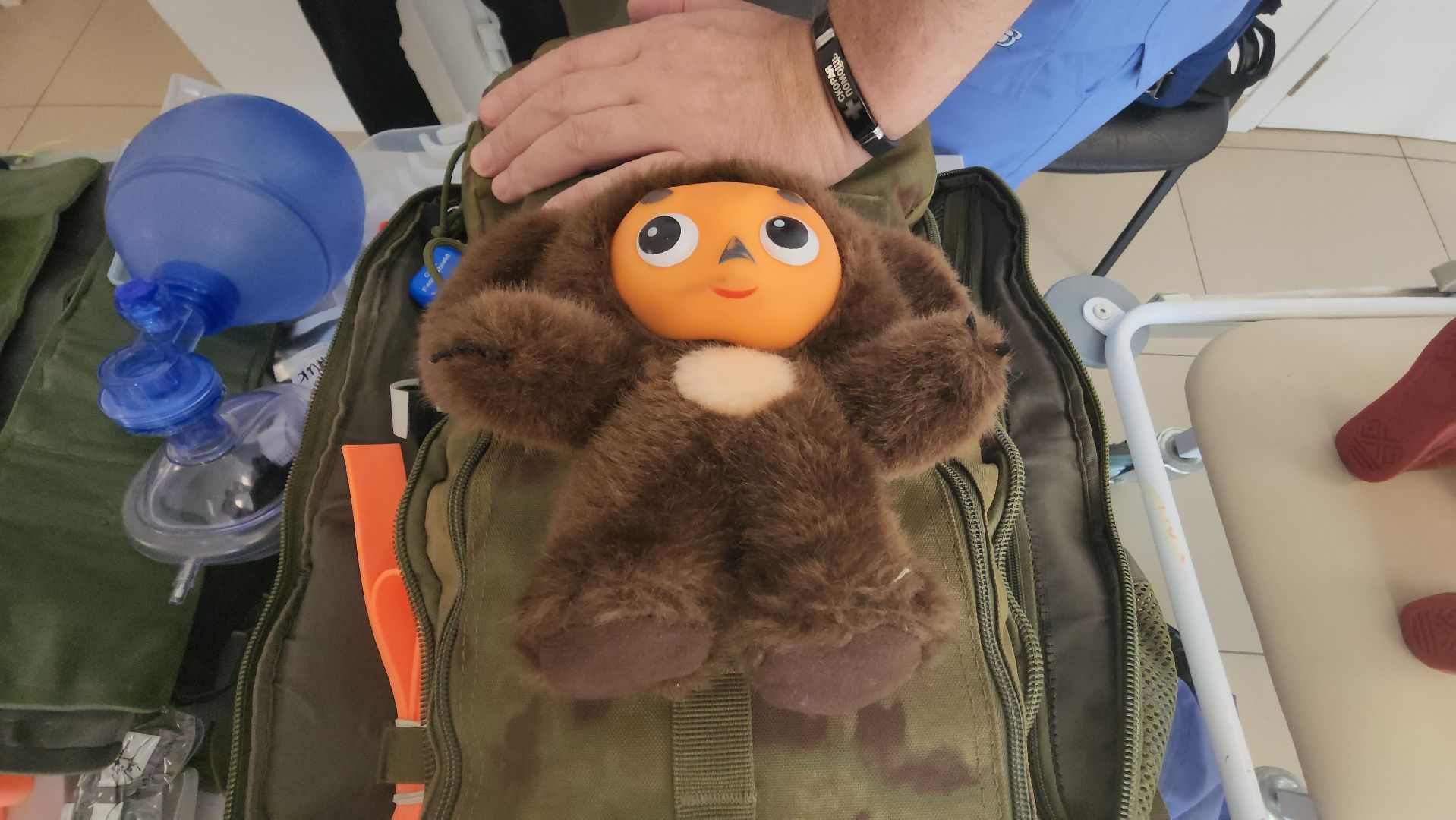 красногорск, портрет,медицина, врач, сво,