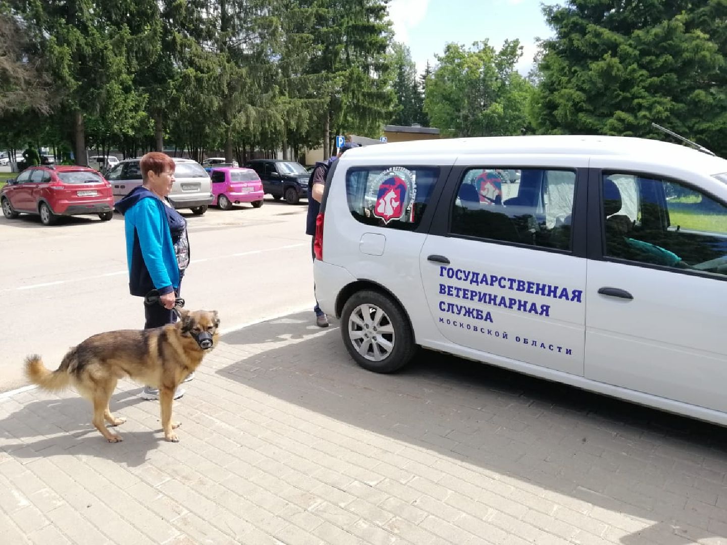 городской округ восход, вакцинация животных, вакцинация от бешенства,