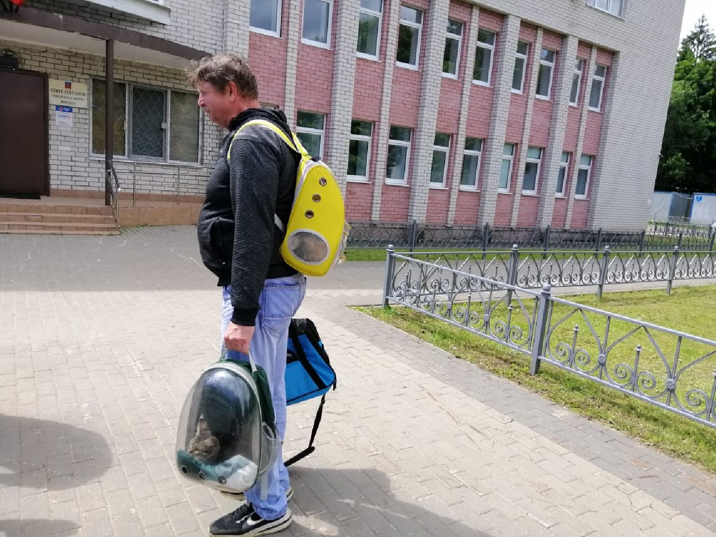 городской округ восход, вакцинация животных, вакцинация от бешенства,