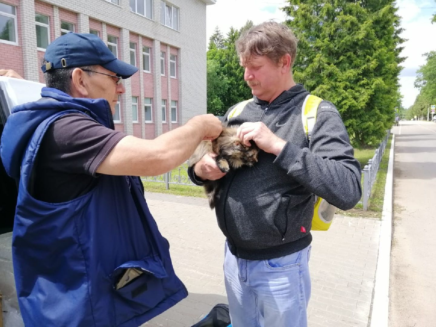 городской округ восход, вакцинация животных, вакцинация от бешенства,