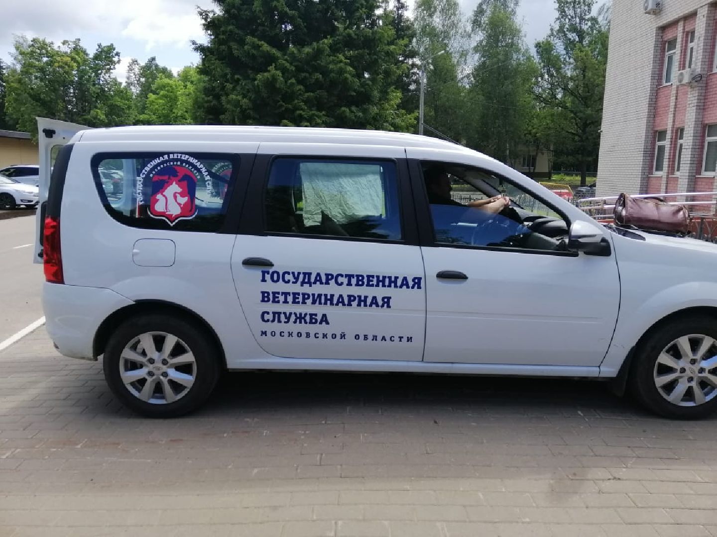 городской округ восход, вакцинация животных, вакцинация от бешенства,