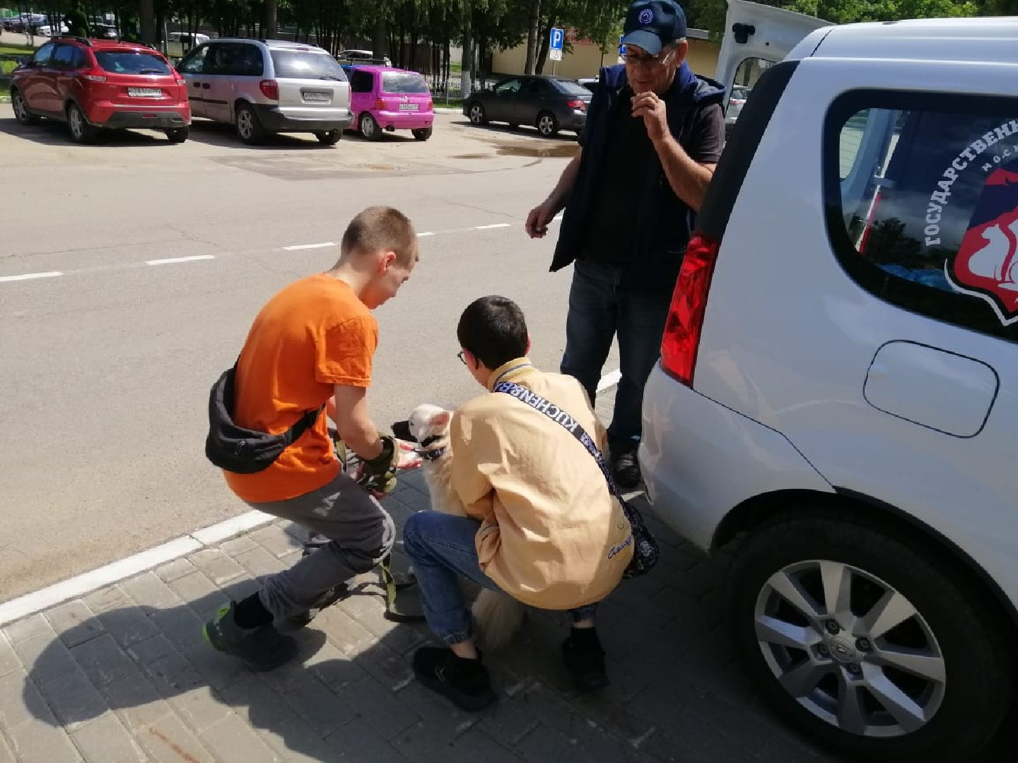 городской округ восход, вакцинация животных, вакцинация от бешенства,