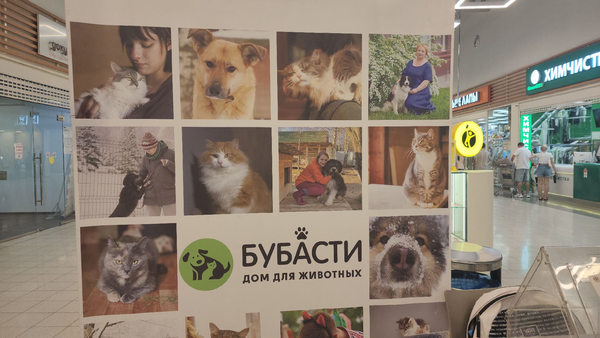 пушкино, бездомные животные, приют для бездомных животных, помощь животным, корма для животных, сбор кормов, сбор корма для животных, волонтеры,