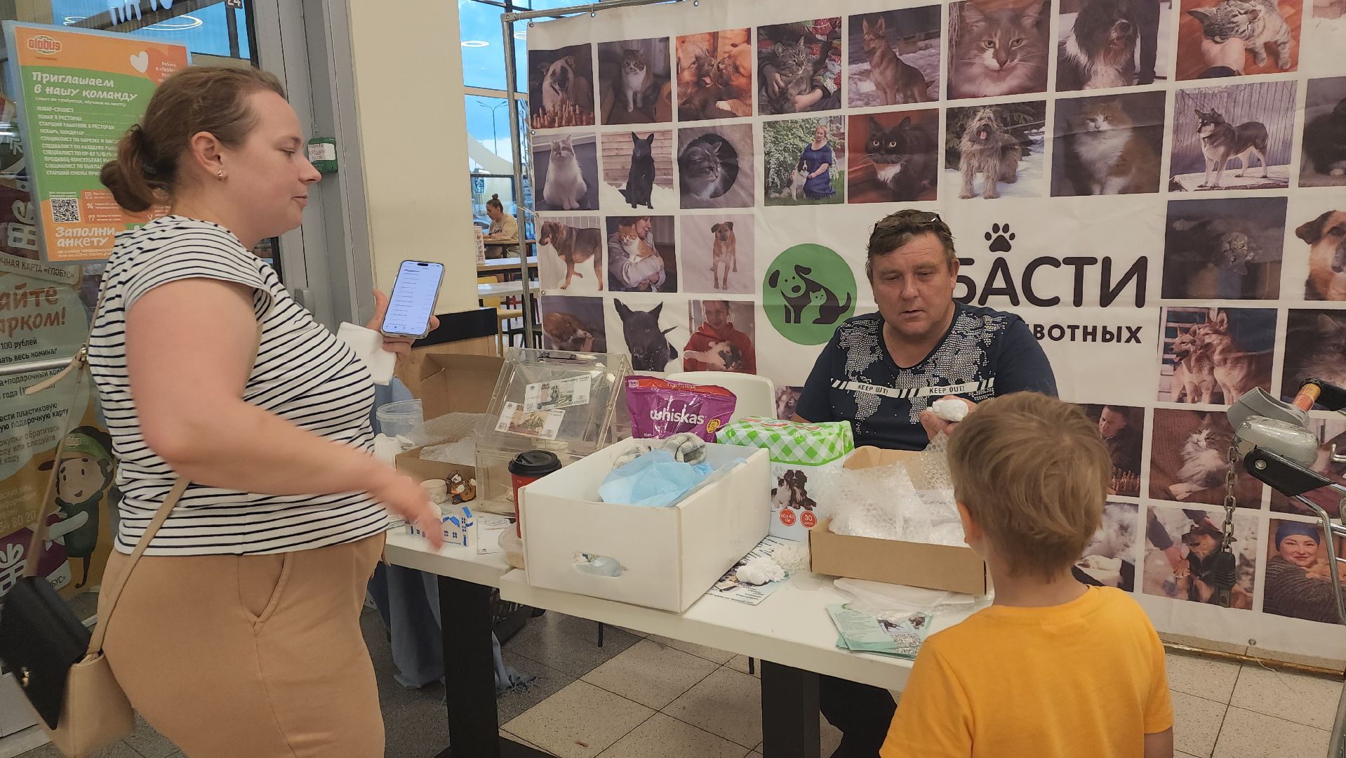 пушкино, бездомные животные, приют для бездомных животных, помощь животным, корма для животных, сбор кормов, сбор корма для животных, волонтеры,