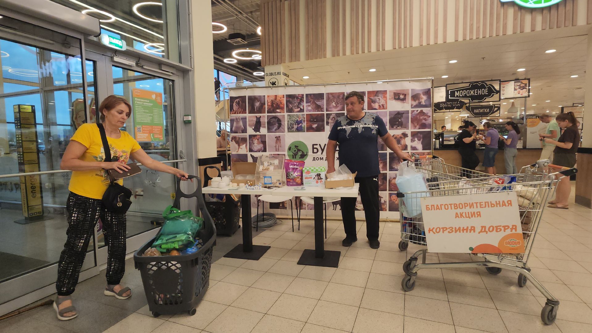 пушкино, бездомные животные, приют для бездомных животных, помощь животным, корма для животных, сбор кормов, сбор корма для животных, волонтеры,