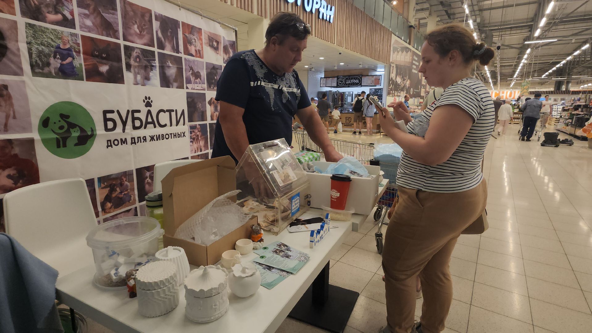 пушкино, бездомные животные, приют для бездомных животных, помощь животным, корма для животных, сбор кормов, сбор корма для животных, волонтеры,