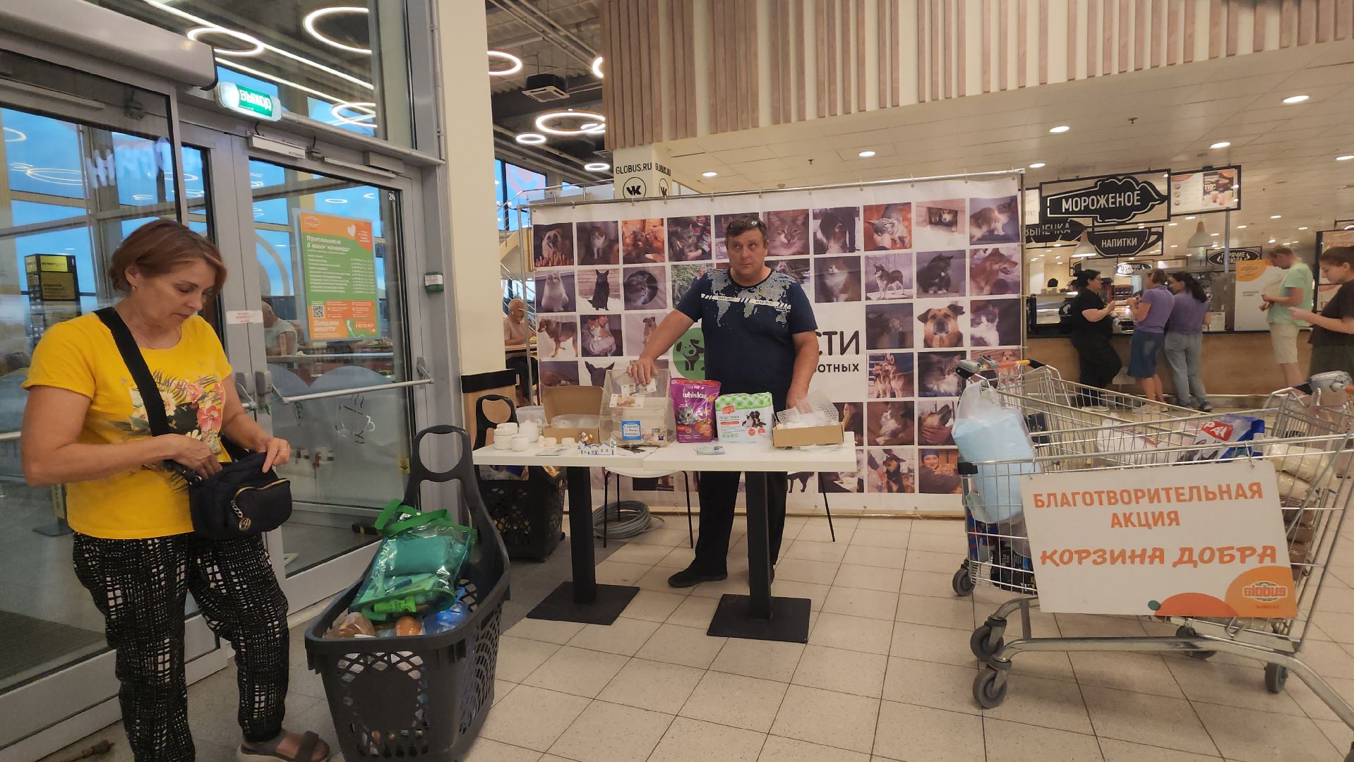 пушкино, бездомные животные, приют для бездомных животных, помощь животным, корма для животных, сбор кормов, сбор корма для животных, волонтеры,