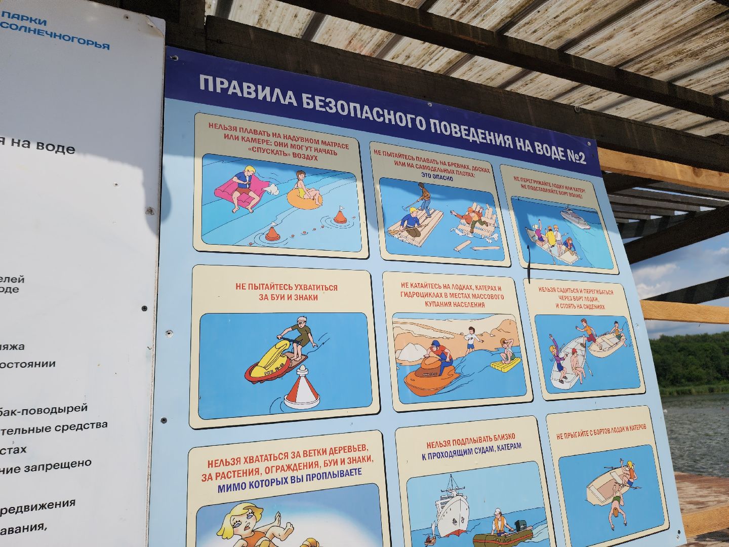 солнечногорск, лето, озеро, сенеж, безопасность ,