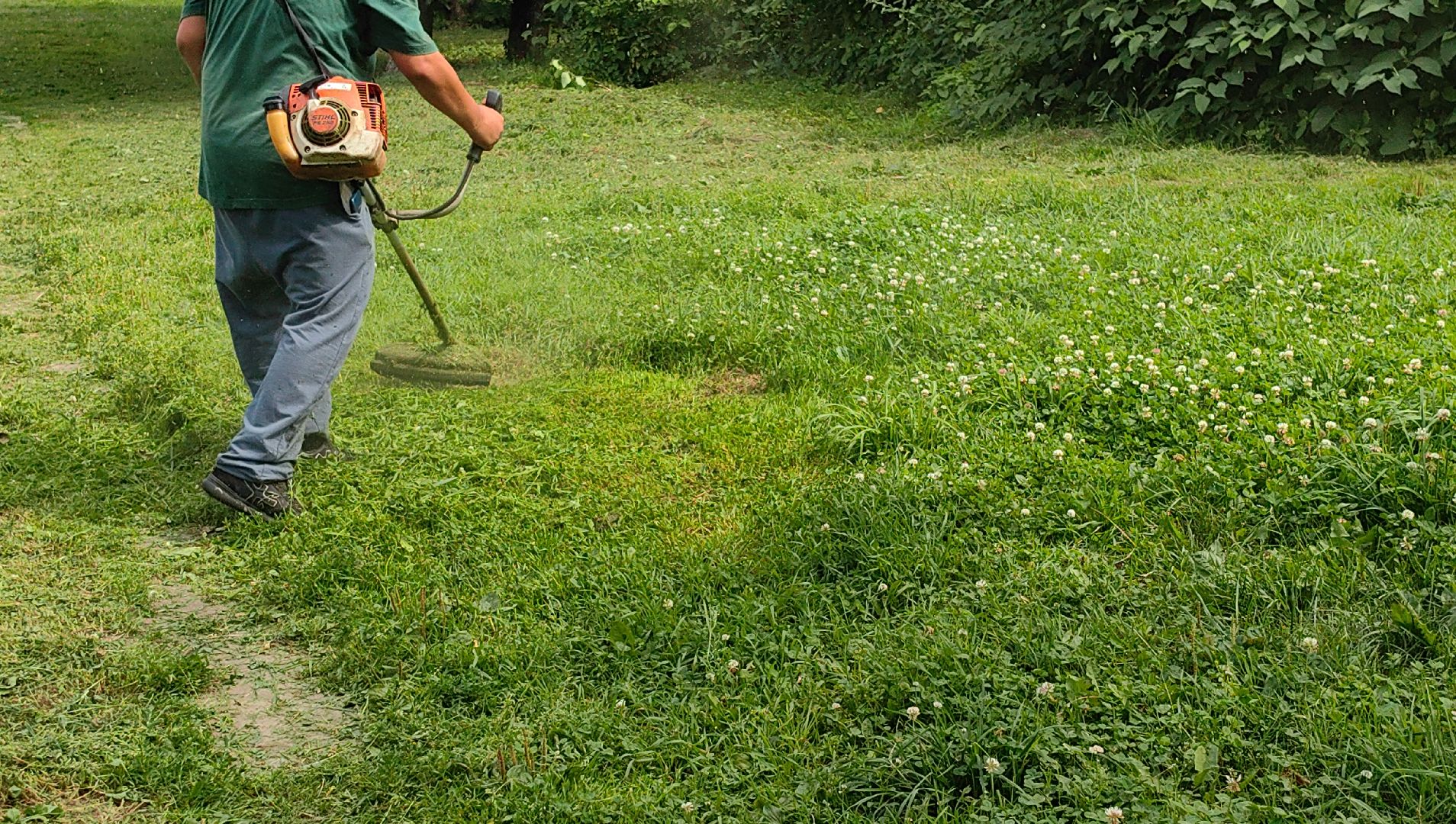 газон, ландшафт, мусор, лужайка,