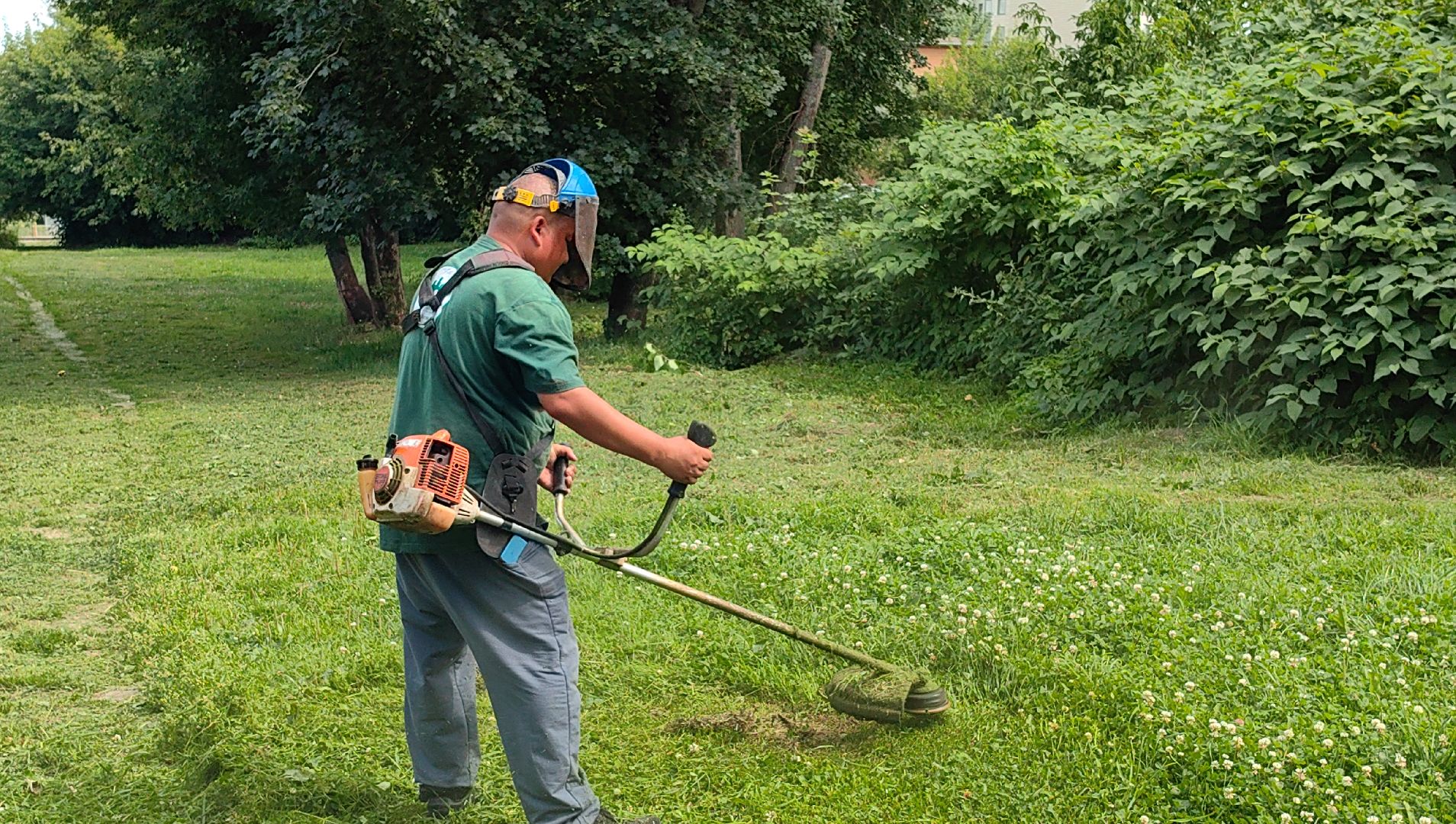 газон, ландшафт, мусор, лужайка,