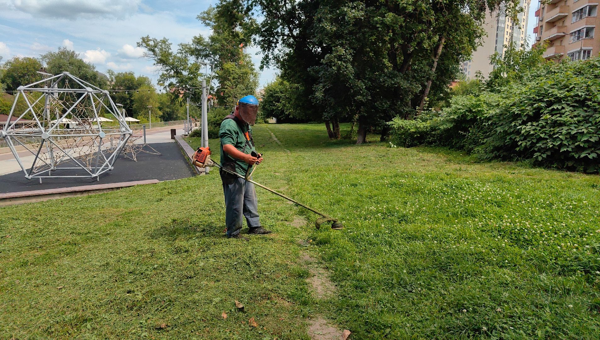 газон, ландшафт, мусор, лужайка,