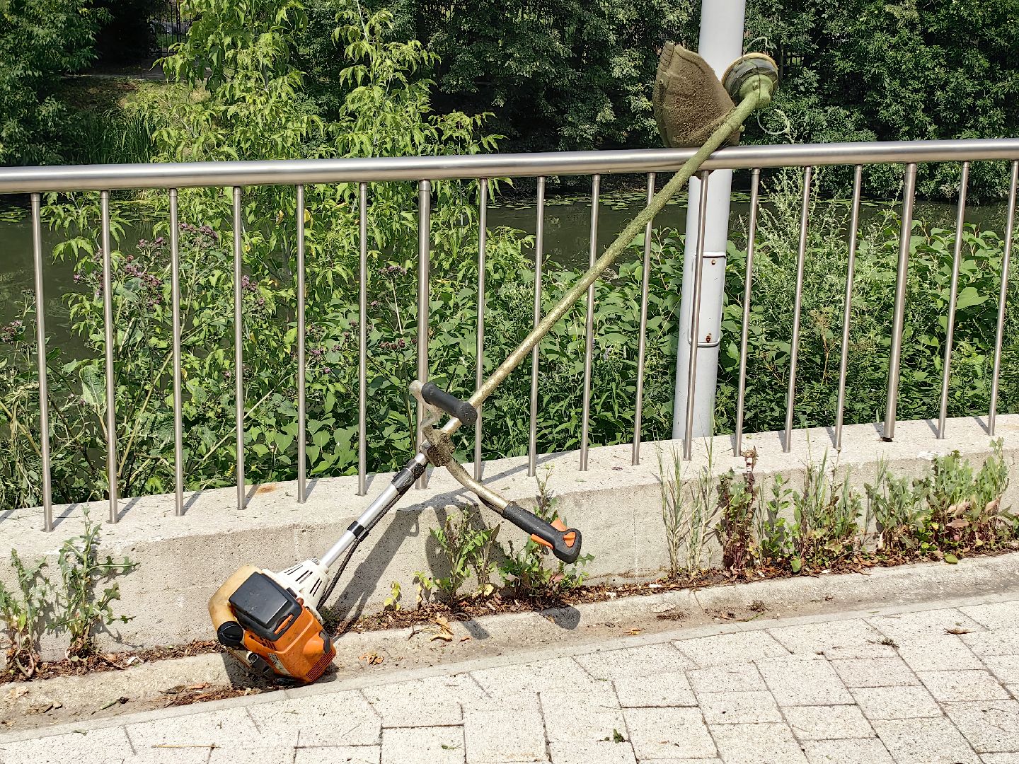 газон, ландшафт, мусор, лужайка,